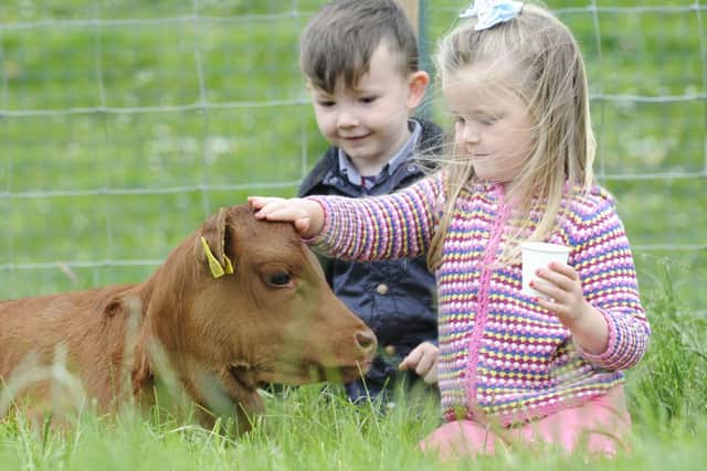 The survey found almost three quarters believed that staying in the UK was better for the future of Scottish farmers. Picture: TSPL
