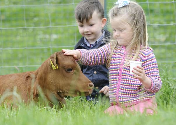 The survey found almost three quarters believed that staying in the UK was better for the future of Scottish farmers. Picture: TSPL