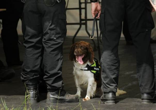 Sniffer dogs at the T in the Park music festival next weekend will target substances known as legal highs. Picture: Jane Barlow