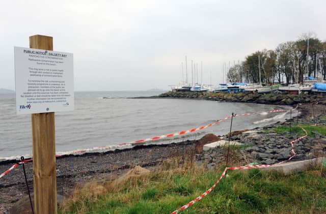 Some 800 aircraft were dumped near Dalgety Bay. Picture: Ian Rutherford