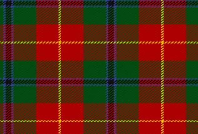 The Turnbull clan's dress tartan. Picture: Contributed