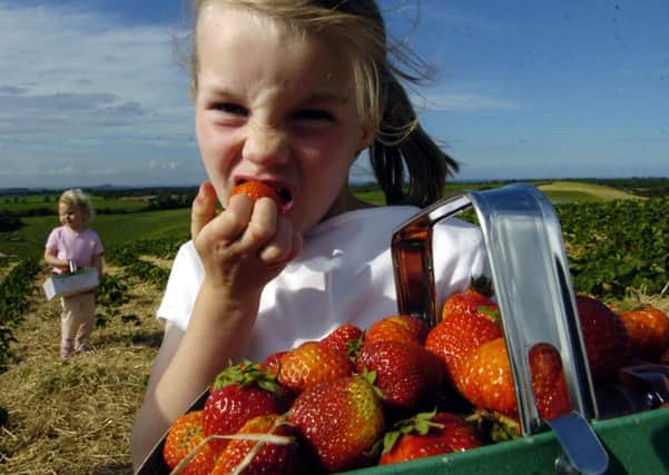 Organic fruit and veg have lower pesticide residues says report. Picture: Phil Wilkinson