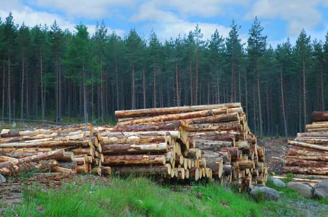 The Scottish forestry and timber sector may be small on a global scale, but it is productive and expanding