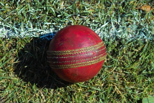 The wicket was part of the team's practice facilities. Picture: Complimentary