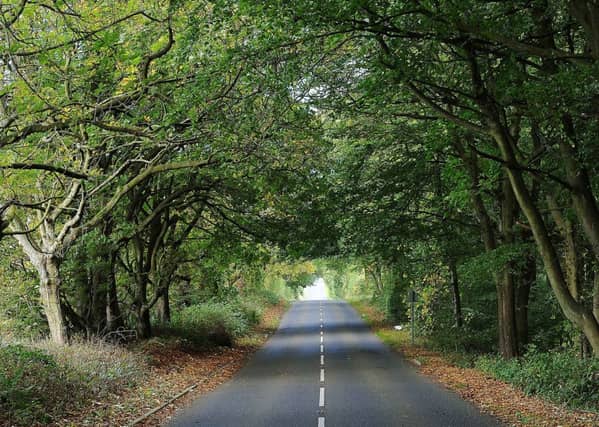 Might the same rate of progress be matched here in Scotland? Picture: Neil Doig