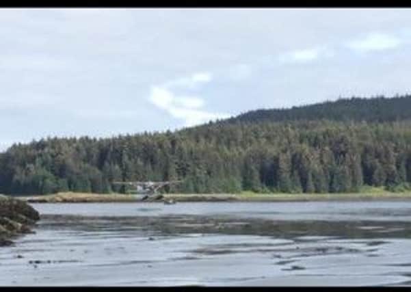 A still from a YouTube clip that shows a seaplane narrowly avoiding landing on a humpback whale. Picture: YouTube