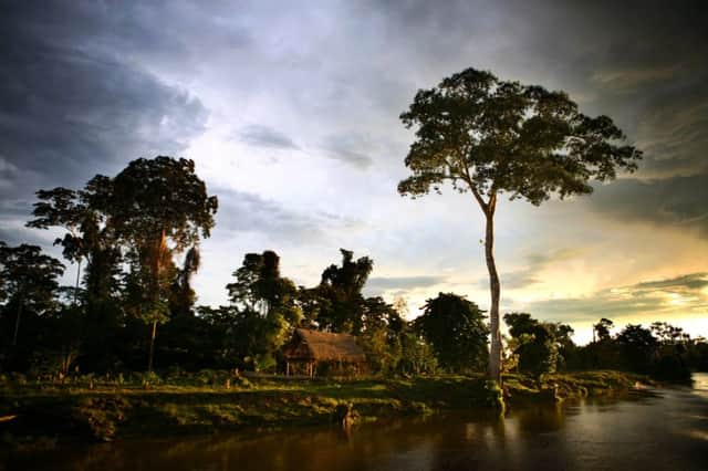 Green groups believe the rivers and rainforests of Peru will be threatened by the new environmental law. Picture: Getty