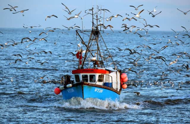 Fishers' perception of changes in distribution of fish concur with scientific data. Picture: PA