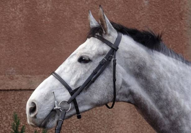 A horse had to be put down after a collision with a motorbike. Picture: PA