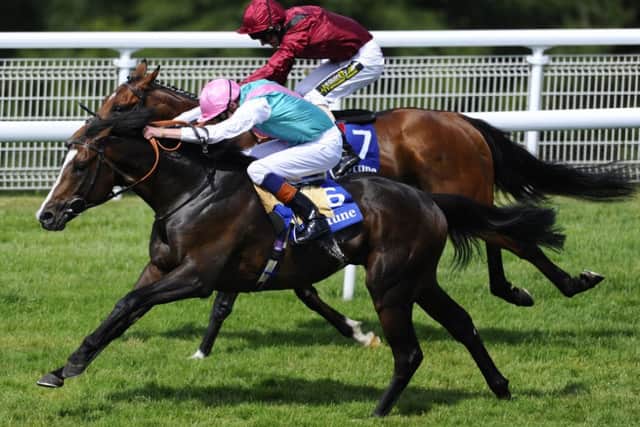 Snow Sky wins the Investment Management Gordon Stakes. Picture: Getty