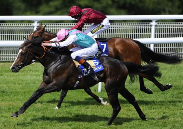 Snow Sky wins the Investment Management Gordon Stakes. Picture: Getty