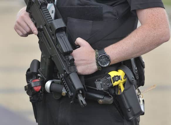 An armed policeman. Tartan Heart is hugely popular with parents and young children. Picture: Ian Rutherford