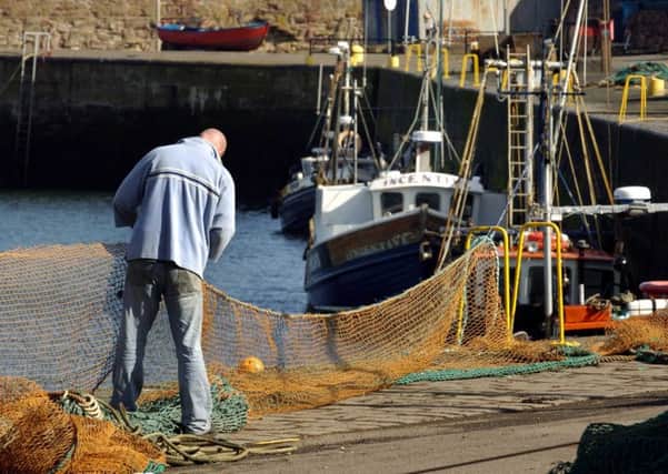 Yes campaigners claim Scotland's fishermen and farmers can get a better deal. Picture: TSPL