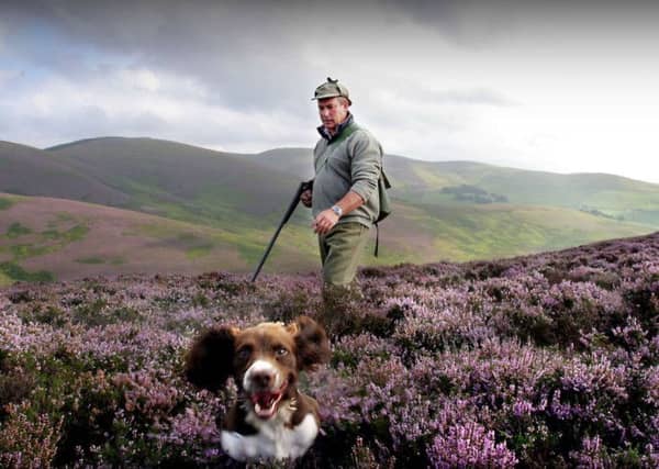 The report into how to protect hen harriers on moorlands was published as the Glorious Twelfth, which marks the new season of grouse shooting, began. Picture: Reuters
