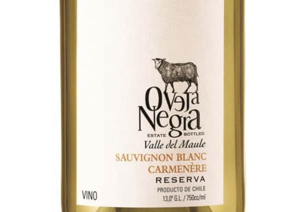 Oveja Negra, one of the Naked Wine collection. Picture: Contributed