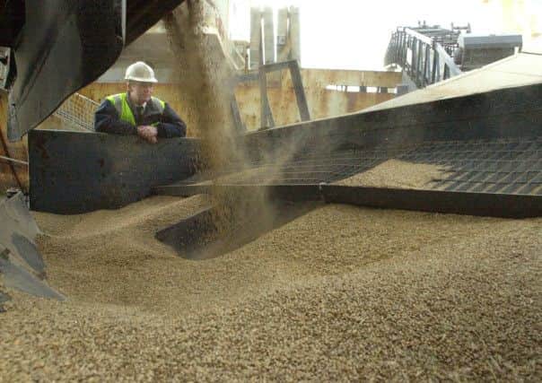 Few doubt that farmers and growers can gear up to supply the malting barley required for this booming sector. Picture: TSPL