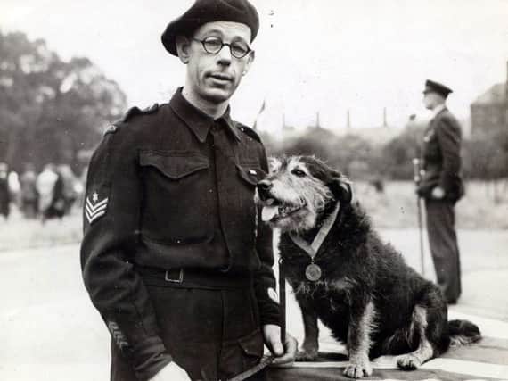 Rip pictured with human handler Mr E King, an air raid warden  saved dozens of lives. Picture: PDSA
