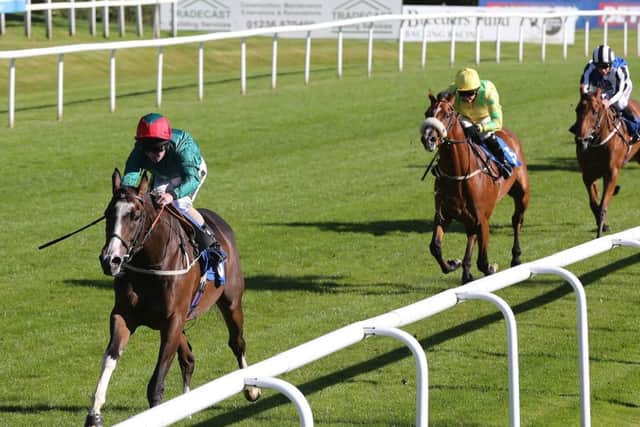 Risen Sun and Joe Fanning stormed to what was an easy victory at Hamilton. Picture: John Grossick