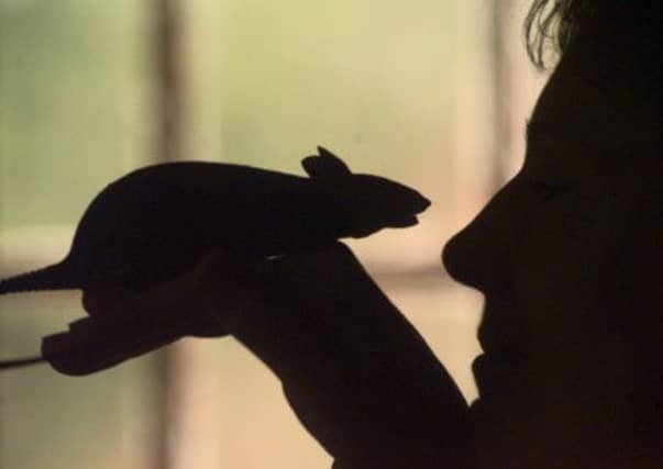 Experiments on lab rats and mice should not prove basis for decision on treatment for humans, writes Tiffany Jenkins. Picture: TSPL