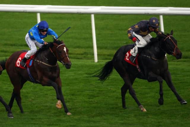 Laylas Hero, right, is in good shape for todays feature race at Hamilton Park. Picture: Getty