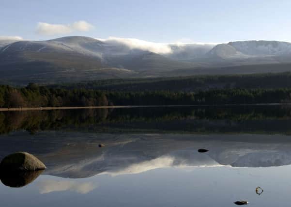 Police say the body was discovered near Loch Morlich. Picture: Ian Rutherford