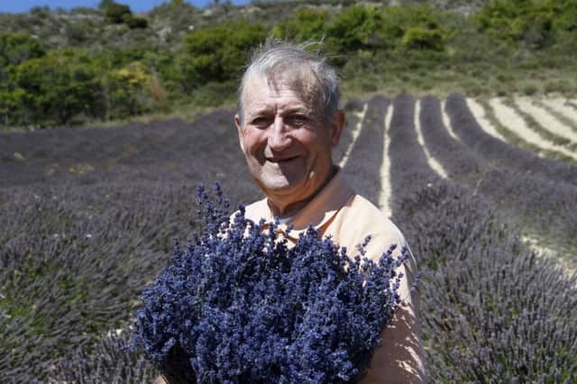 Francis Vidal, honorary president of the local Lavender Oil Producers, says it has been safely used for thousands of years. Picture: AP