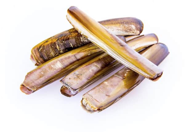 Razor clams are being sold to Asian markets via Singapore. Picture: Getty