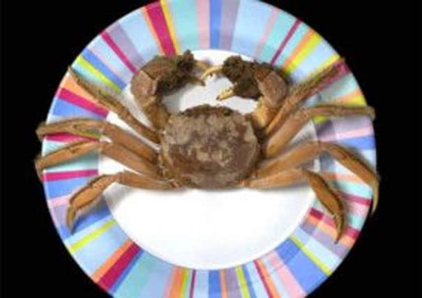 The crab was discovered in waters near Dalmarnock. Picture: Trustees of the Natural History Museum London