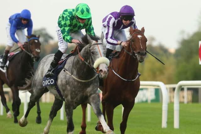 The Grey Gatsby and Ryan Moore power ahead of Australia, right, to land the Qipco Irish Champion Stakes. Picture: PA
