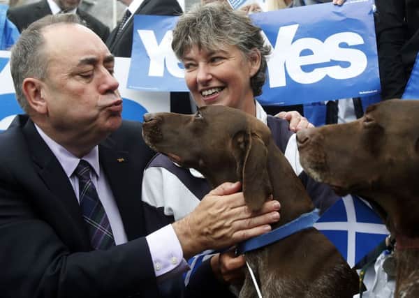 Scottish First Minister Alex Salmond with two German short haired pointers and Yes supporters in Turriff. Picture: PA