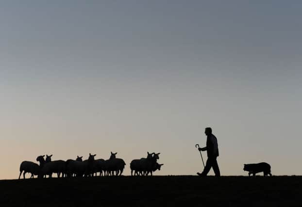 NFU Scotland chief Nigel Miller said farmers should put campaigning behind them and look ahead. Picture: Ian Rutherford