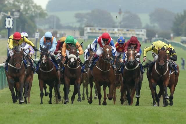 Accipiter, ridden by Ashley Morgan in the red cap, wins at Ayr. Picture: John Grossick