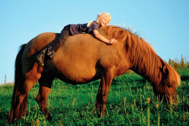 Ponies can suffer from being mollycoddled. Picture: Alamy