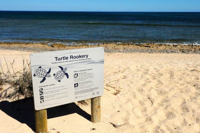 Jasnz Beach. Picture: TSPL