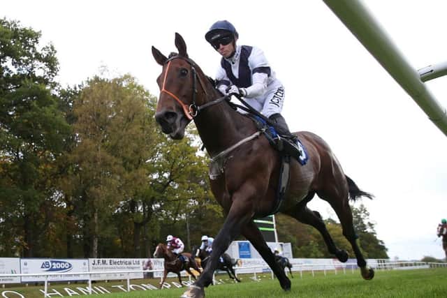 Irish Girls Spirit heads for Hamilton success. Picture: John Grossick