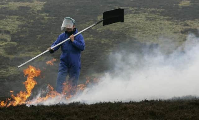 Ember study suggests muirburning degrades upland moorland, its fauna and flora. Picture: PA