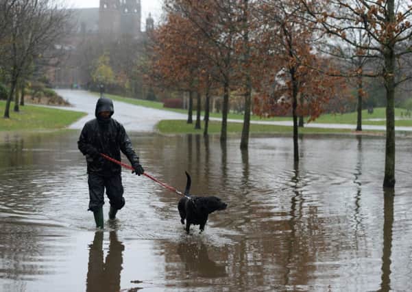 A man walks his dog through Glasgow's Kelvingrove Park. Many parts of Scotland will see wind and rain from tomorrow. Picture: HEMEDIA