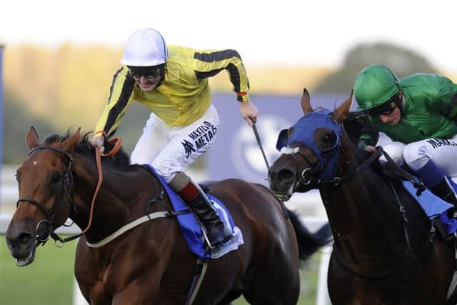 Big Orange enjoys a Listed win under Tom Queally at Ascot yesterday. Picture: Getty