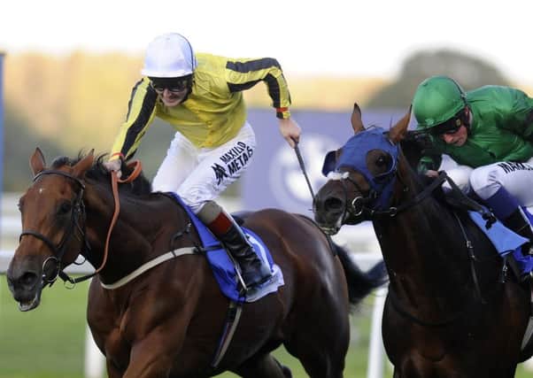 Big Orange enjoys a Listed win under Tom Queally at Ascot yesterday. Picture: Getty