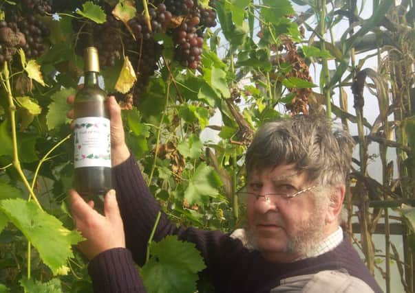 Donald Hope at his vineyard in the Butt of Lewis. Picture: Contributed