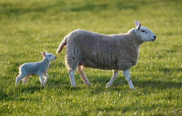 Total value is thought to be around £10,000. Picture: Phil Wilkinson