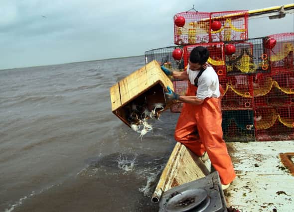 No-one wants to see fishermen having to throw back their catch. Picture: Getty
