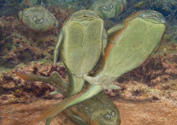 An artist's impression of a Microbrachius mating scene. Picture: PA