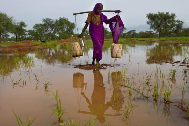 A woman carries fresh water to one of several refugee camps in South Sudan. Picture: Getty