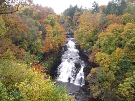Falls of Clyde, New Lanark. Picture: Nick Drainey