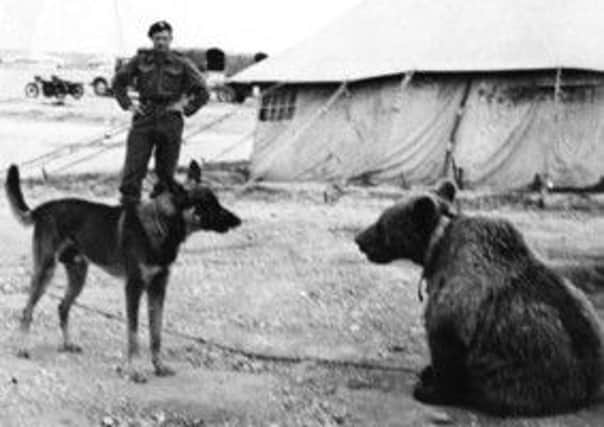 Private Wotjek, right, meets a dog embedded with the Polish infantry. Picture: Wikipedia