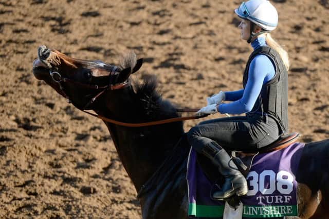 Juddmontes colt Flintshire, trained by André Fabre, on a run out at the track last night. Picture: Getty