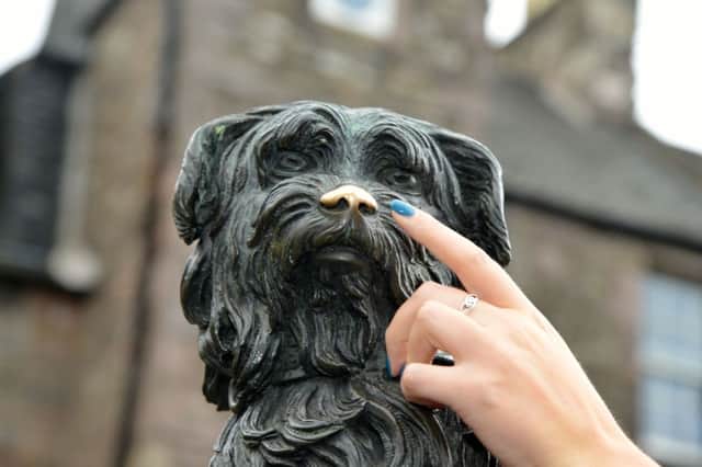 'My dog has no nose': Greyfriars Bobby's nose has been rubbed off again. Picture: Jon Savage