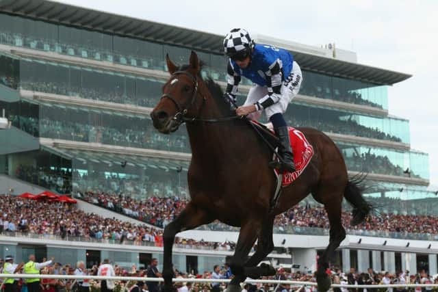 Ryan Moore rides Protectionist to victory in the Melbourne Cup. Picture: Getty