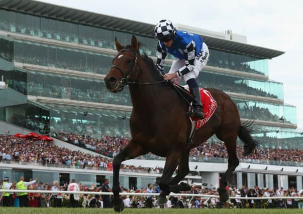 Ryan Moore rides Protectionist to victory in the Melbourne Cup. Picture: Getty